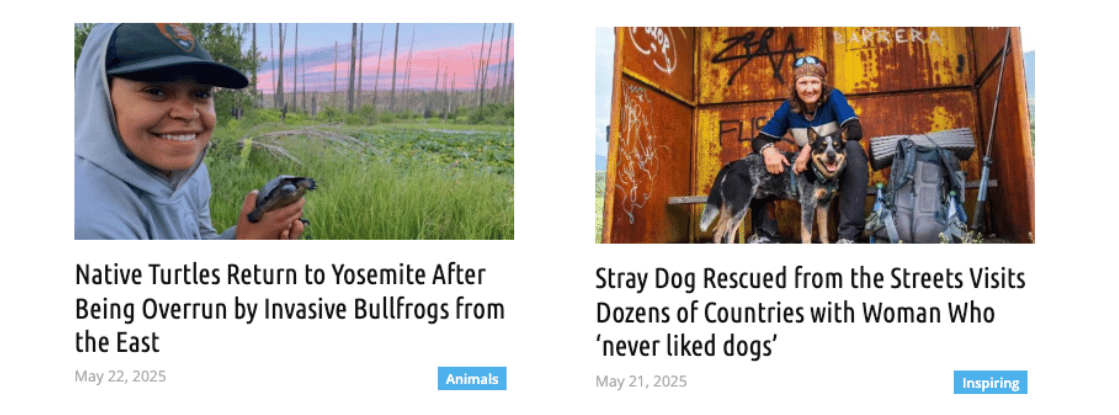 May Recap: Grill & Growth — Emotional Mastery Starts at Home